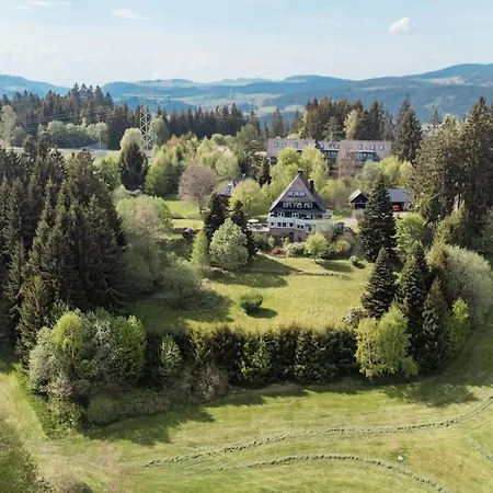 Stradivari - Black Forest With Alpine Views Vila Lenzkirch