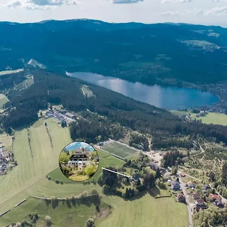 Stradivari - Black Forest With Alpine Views Vila *